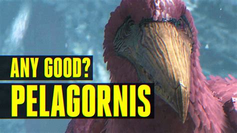 ark what does pelagornis eat